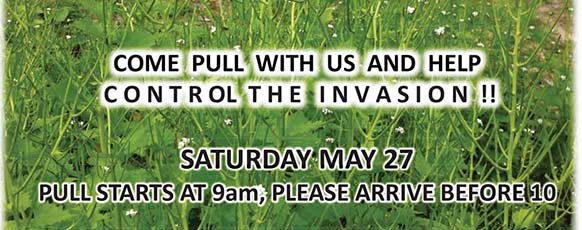 Saturday, May 27th at 9am at Meadow Ridge Picnic Area.