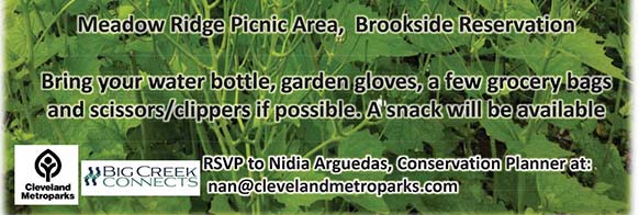 Bring: water bottle, garden gloves, some grocery bags, scissors/clippers if possible. Snack provided. RSVP to Nidia nan@clevelandmetroparks.com. Sponsored by Cleveland Metroparks and Big Creek Connects